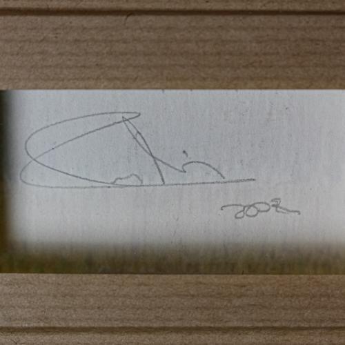 FIRMA ILEGIBLE