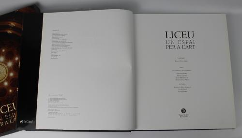 "LICEU, UN ESPAI PER L&#39;ART"