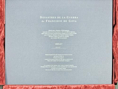 "LOS DESASTRES DE LA GUERRA"