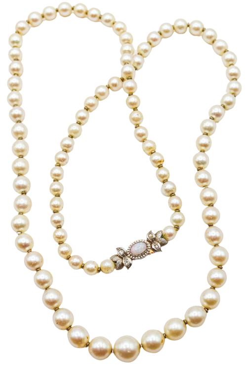 COLLAR DE PERLAS CULTIVADAS