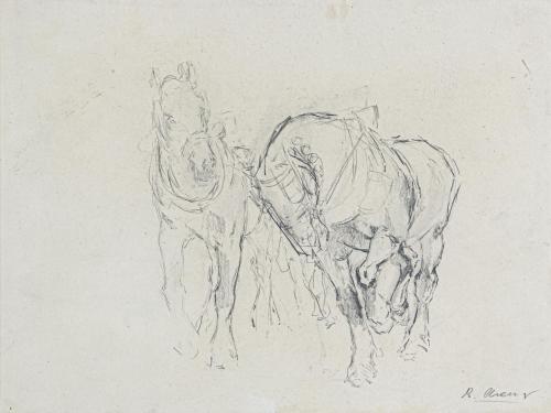 ARENYS, RICARD