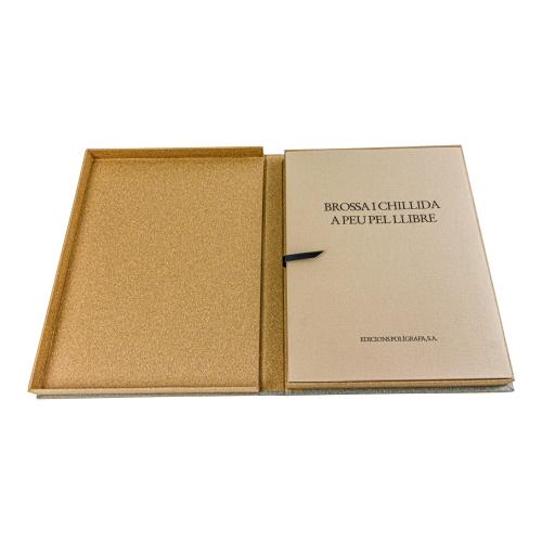BROSSA I CHILLIDA A PEU PPER LLIBRE