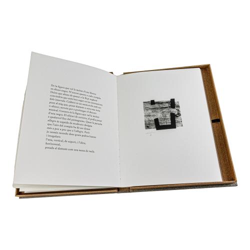 BROSSA I CHILLIDA A PEU PPER LLIBRE
