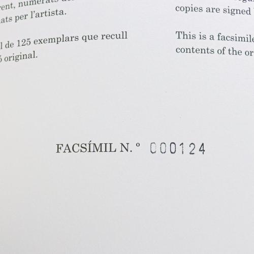 EL PASSEIG DEL POETA, ALBERT RAFOLS CASAMADA