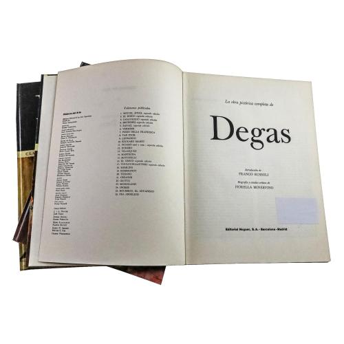 DIEZ LIBROS  OBRA PICTÓRICA COMPLETA