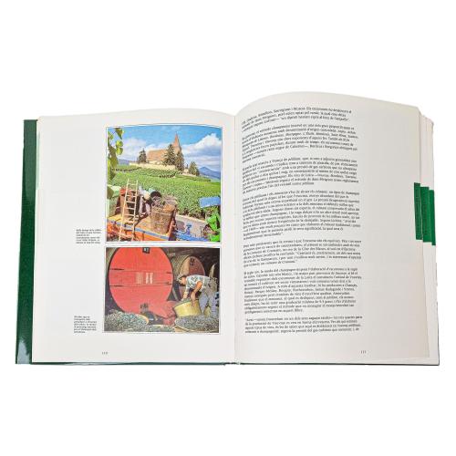 CINCO LIBROS SOBRE VINOS Y CAVAS