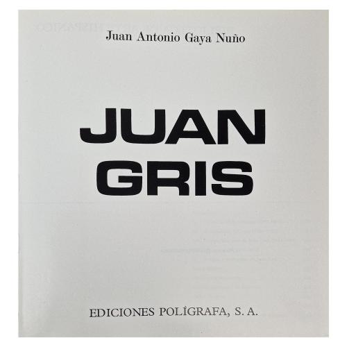 DOS LIBROS SOBRE PINTURA