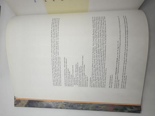 DOS LIBROS DE ARTE