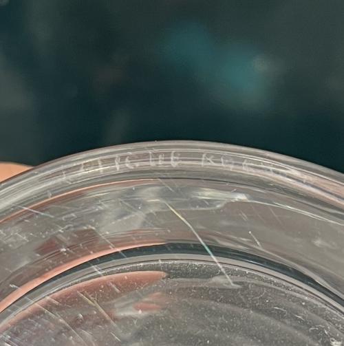 VASO LALIQUE 