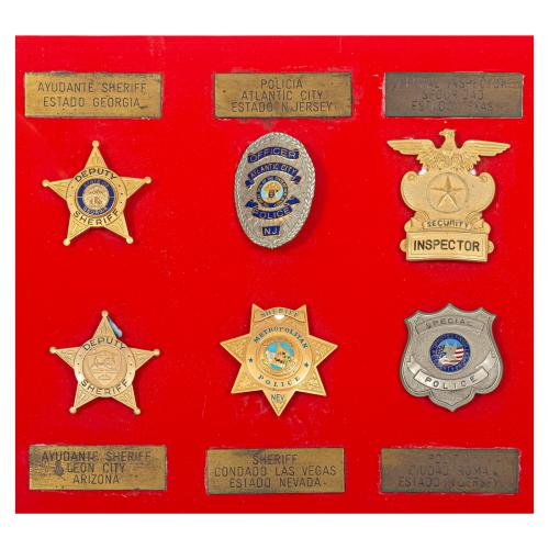 PLAFÓN DE DIEZ PLACAS DE SHERIFF DE EE.UU