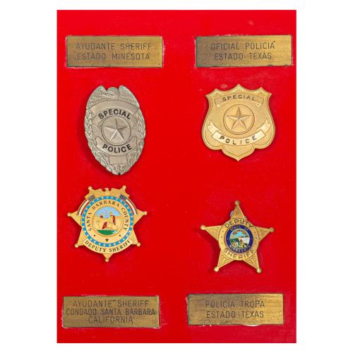 PLAFÓN DE DIEZ PLACAS DE SHERIFF DE EE.UU