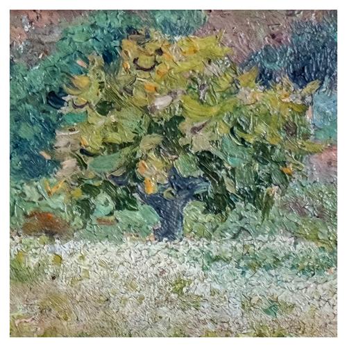 RAURICH, NICOLAU