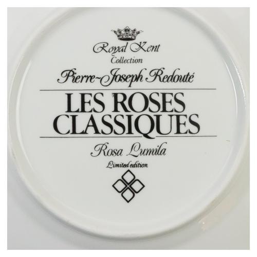 CONJUNTO DE 12 PLATOS DE COLECCION EN PORCELANA ROYAL KENT 