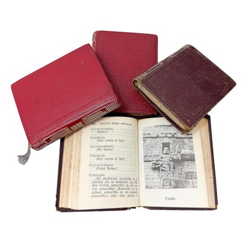 LOTE DE PEQUEÑOS LIBROS