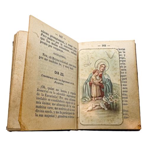 LOTE DE PEQUEÑOS LIBROS