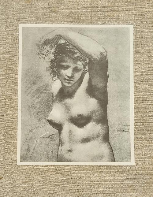 DIBUJOS DE DESNUDO DE LOS GRANDES MAESTROS. 120 LÁMINAS.   