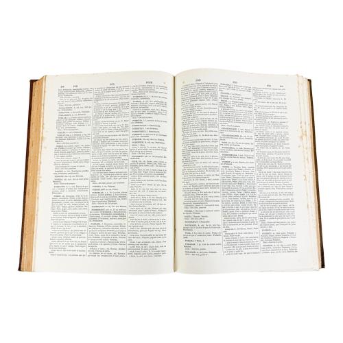 DICCIONARI DE LA LLENGUA CATALANA... 
