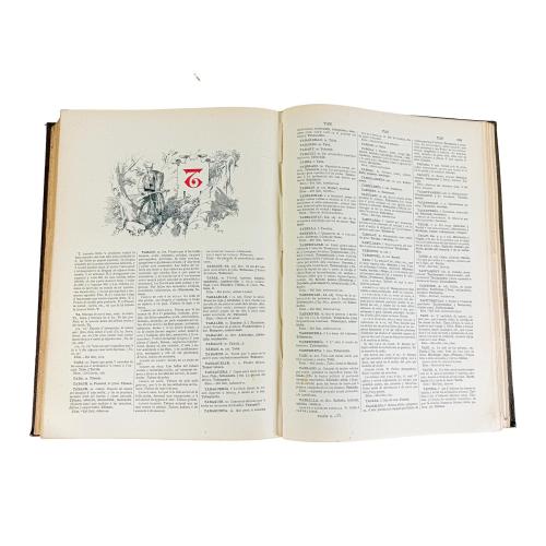 DICCIONARI DE LA LLENGUA CATALANA... 