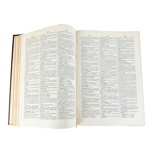 DICCIONARI DE LA LLENGUA CATALANA... 