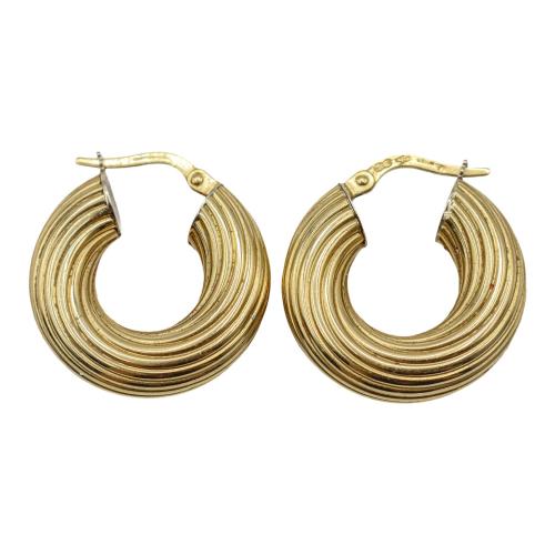PENDIENTES ARGOLLAS 