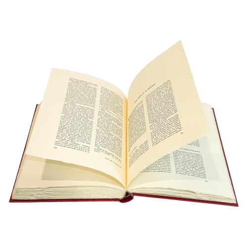 100 ARTICLES D&#39;EN SENTIS 