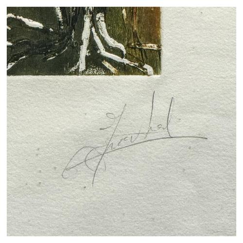 FIRMADO ILEGIBLE