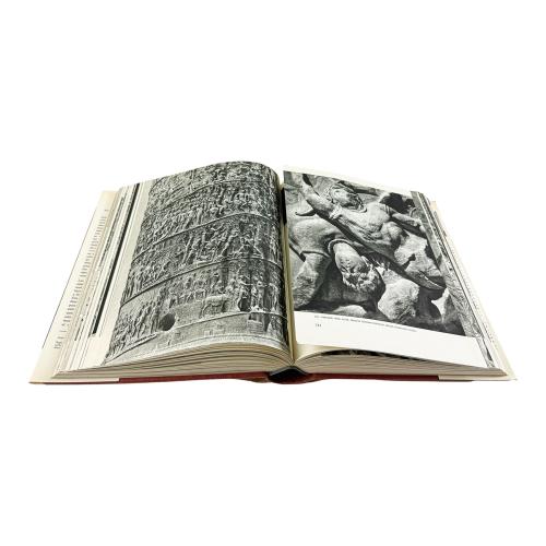 19 TOMOS DE LA COLECCIÓN EL UNIVERSO DE LAS FORMAS