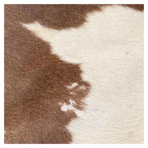 ALFOMBRA PIEL DE VACA DE FINALES DEL S.XX