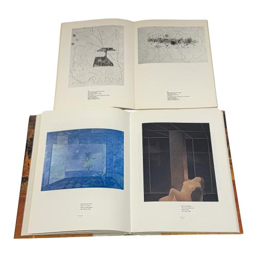CONJUNTO DE LIBROS SOBRE ARTISTAS