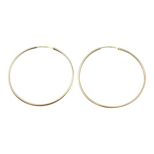 PENDIENTES ARGOLLA