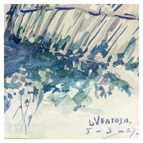 VENTOSA