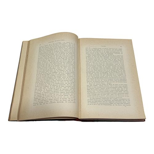 DANTE: SEIN LEBEN UND SEIN WERK