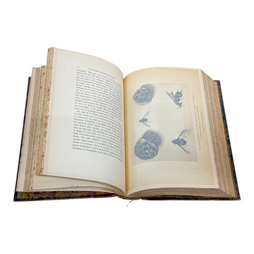 SOUVENIRS ENTOMOLOGIQUES: ÉTUDES SUR L'INSTINCT ET LES MOUER