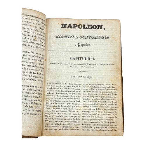 HISTORIA DEL EMPERADOR NAPOLEÓN 