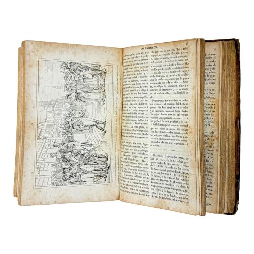 HISTORIA DEL EMPERADOR NAPOLEÓN 