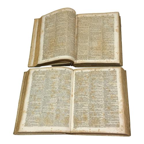 VOCABULA LATINA ET ITALICA A JOSEPHO PASINIO JAMDIU DIGESTA