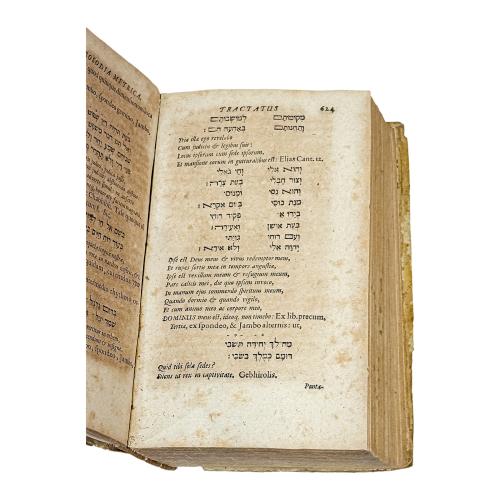 THESAURUS GRAMATICUS LINGUAE SANCTE HEBRAEAE...