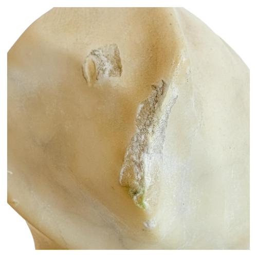 BUSTO DE NIÑA DE PRINCIPIOS DE SIGLO XX