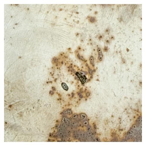 JARRA DE CERVEZA DE PLATA ITALIANA DE MEDIADOS S. XX 