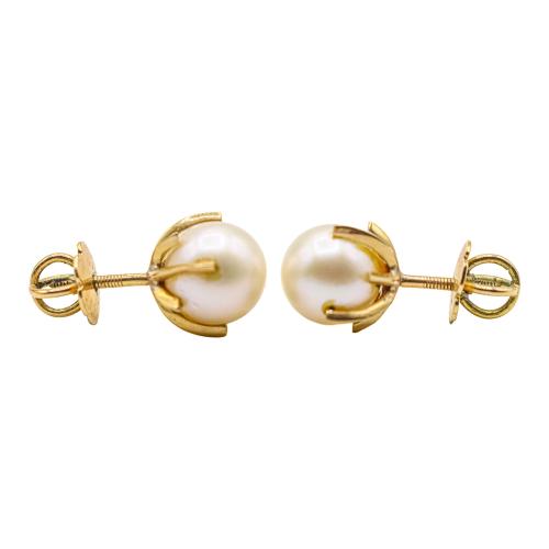 PENDIENTES DE PERLAS