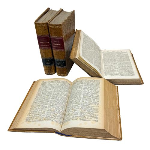 NOVÍSIMO DICCIONARIO GEOGRAFICO, HISTÓRICO, PINTORESCO 