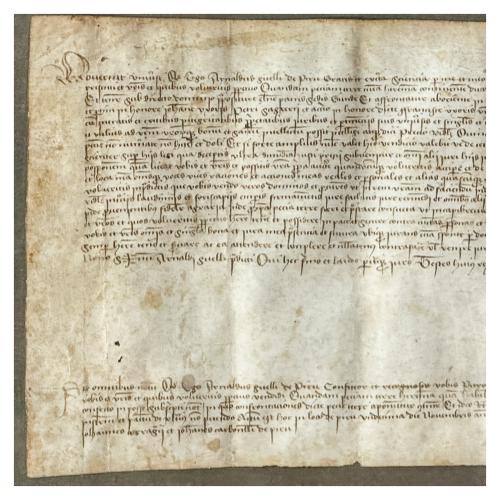 DOCUMENTO MANUSCRITO SOBRE PERGAMINO S. XV