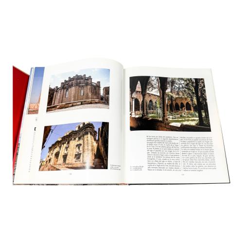 DOS LIBROS SOBRE CATEDRALES DE ESPAÑA Y CATALUÑA