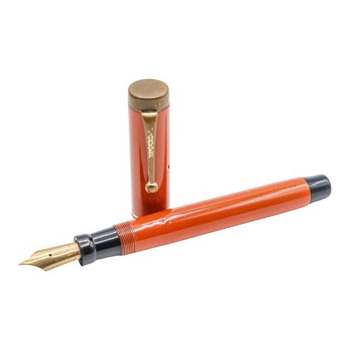 PLUMA ESTILOGRÁFICA PARKER DUOLFOLD
