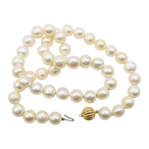 COLLAR DE PERLAS DE LOS MARES DEL SUR