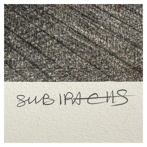 SUBIRACHS I SITJAR, JOSEP Mª