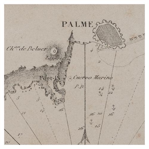 BAIE DE PALME 