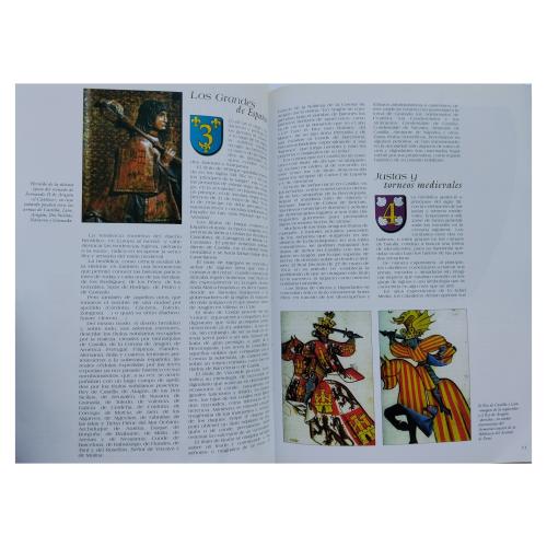 HERÁLDICA. APELLIDOS ESPAÑOLES. ESCUDOS, BLASONES Y ORÍGENES