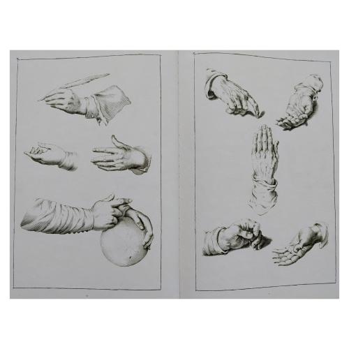 LUMEN PICTURAE: MANUAL DE DIBUJO CLÁSICO