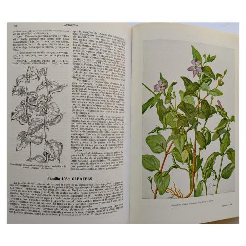 PLANTAS MEDICINALES: EL DIOSCÓRIDES RENOVADO